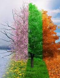 Poèmes sur les Saisons